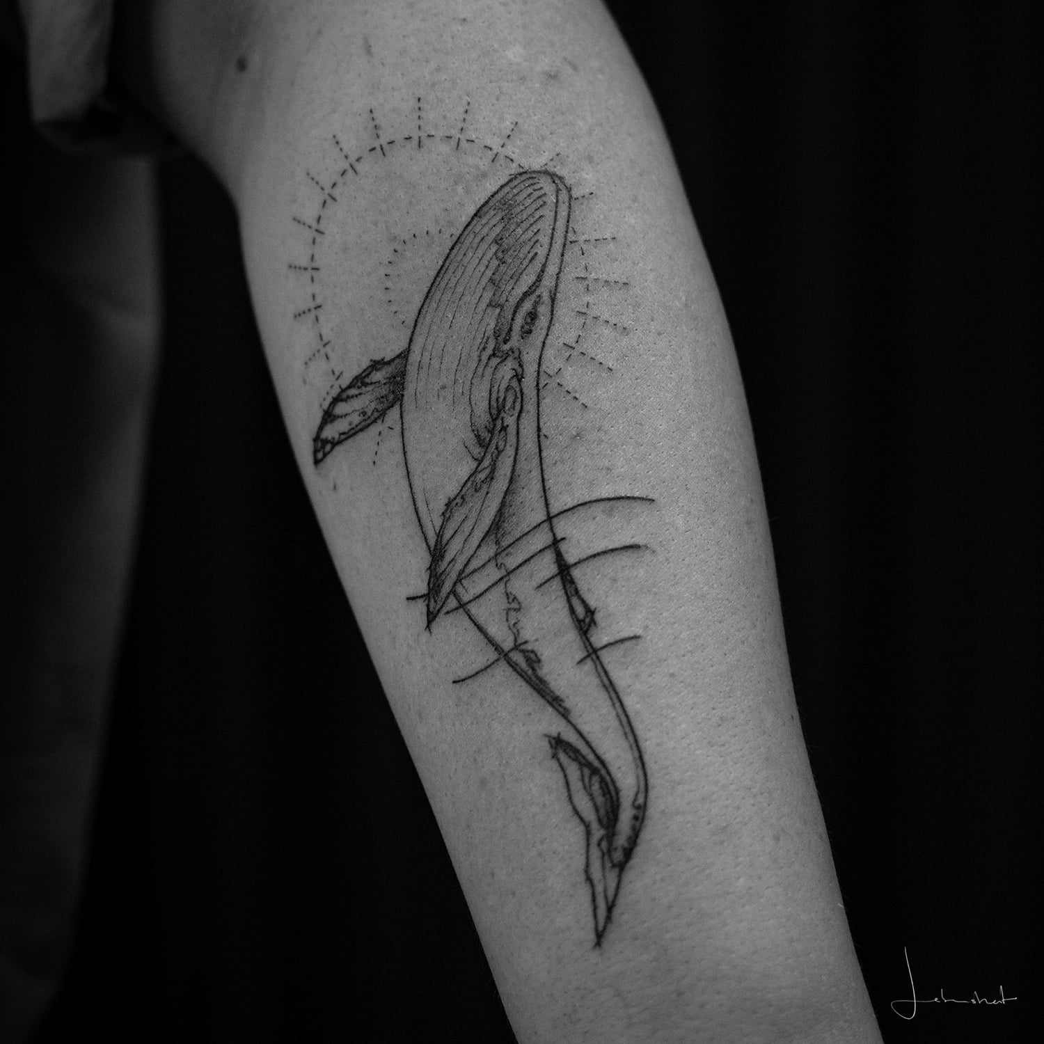 Ein Walfisch der auf dem Unterarm nach oben schwimmt