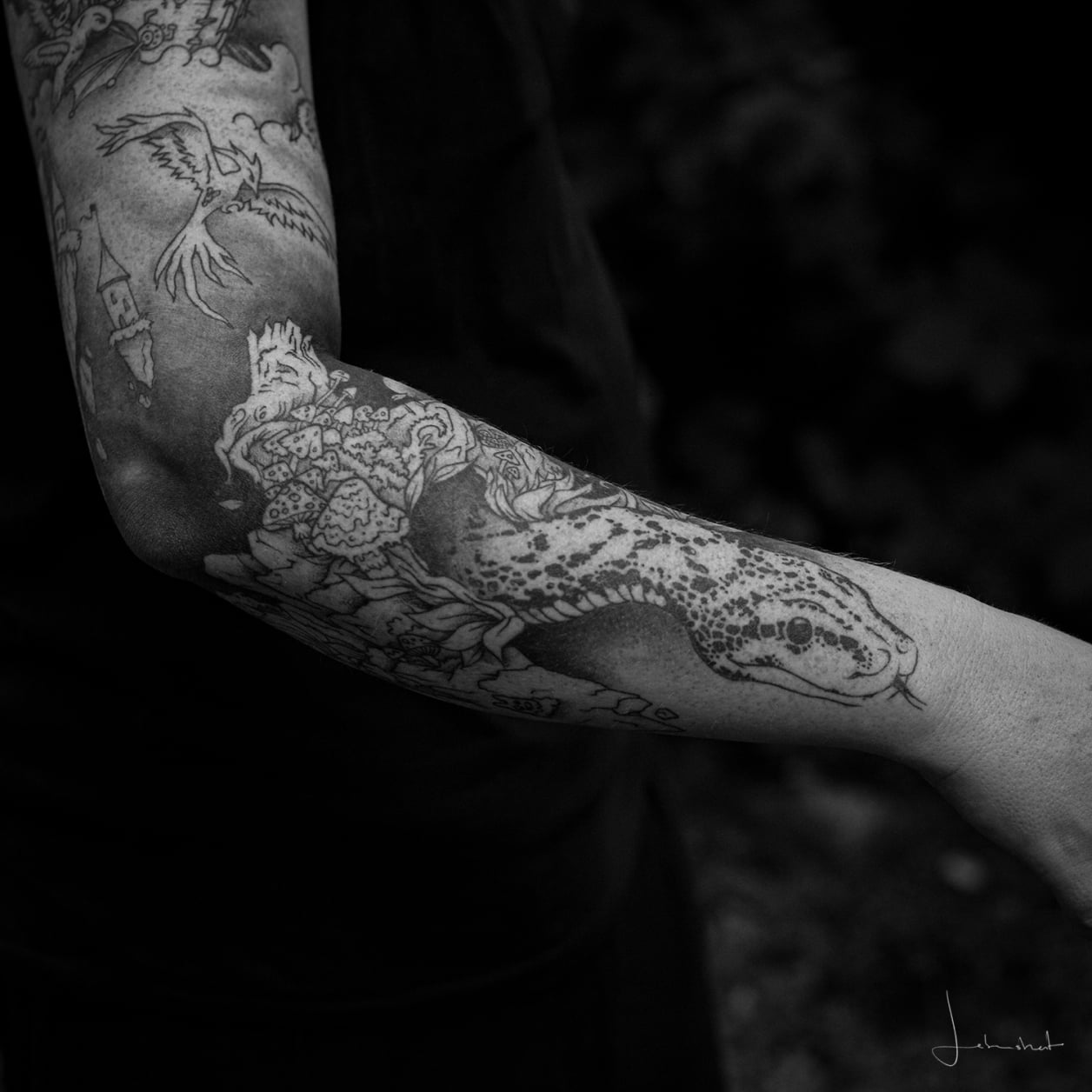 Tattoo Schlange auf dem Unterarm